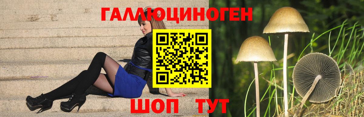 Псилоцибиновые грибы Psilocybe Баксан