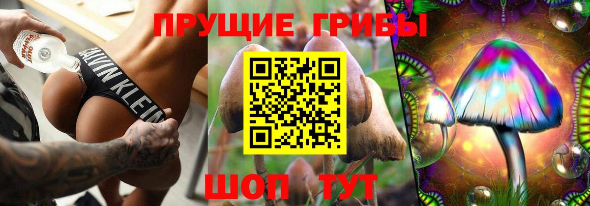 Баксан  где найти   Псилоцибиновые грибы Psilocybe  Вход с VPN  Псилоцибиновые грибы мицелий 